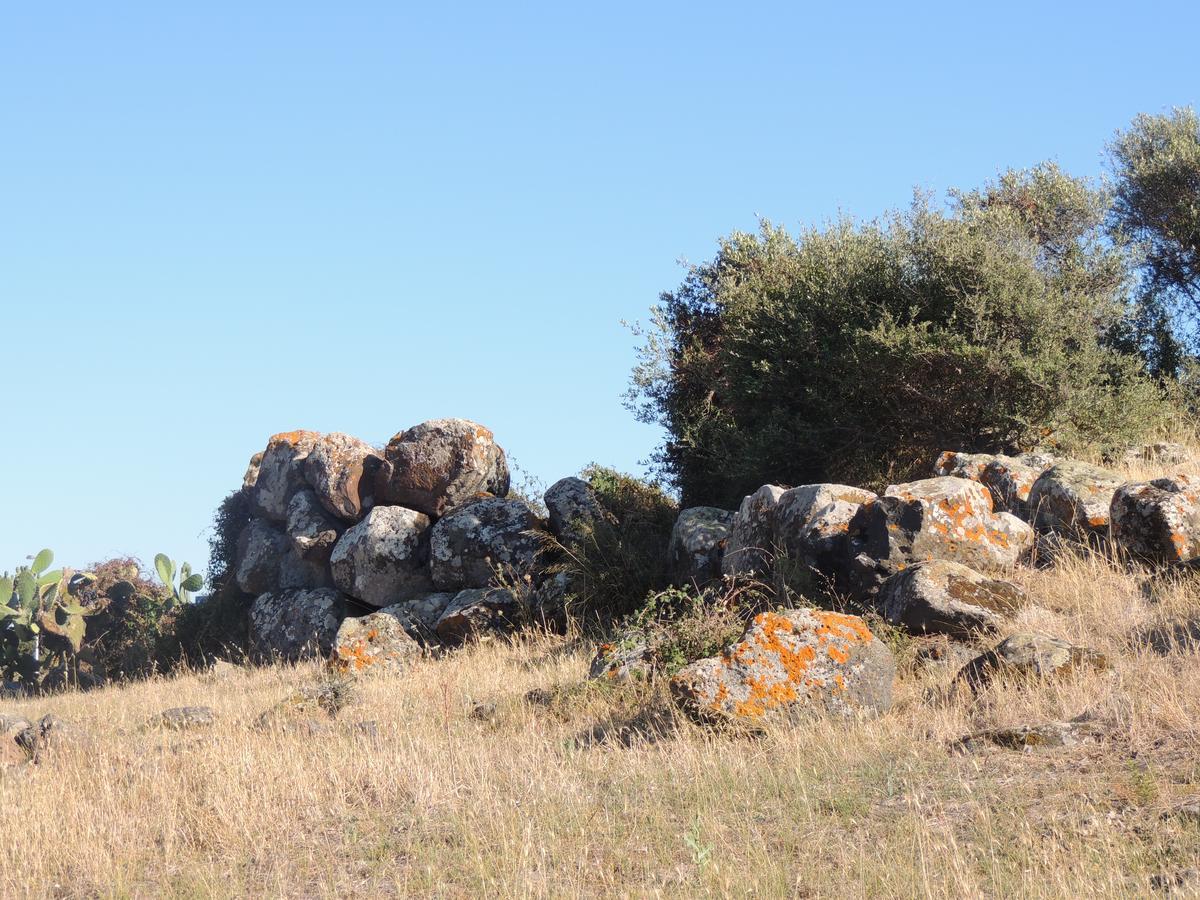Il Nuraghe Bed & Breakfast Uras ภายนอก รูปภาพ